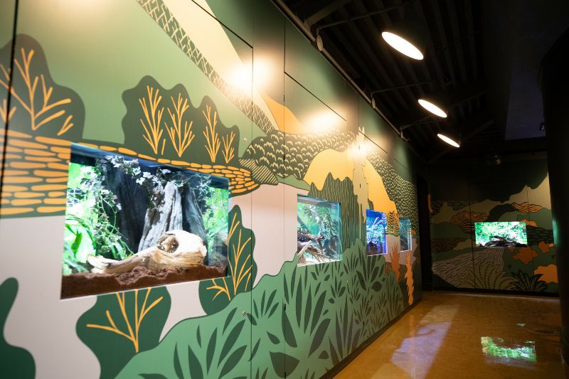 revamped-bug-world-opens-at-woodland-park-zoo-westside-seattle